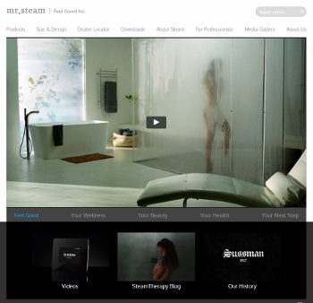 MrSteam towel warmer steam shower generator (350x338)