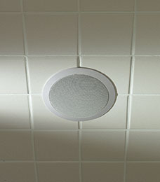 MrSteam AudioWizard Speakers low rez