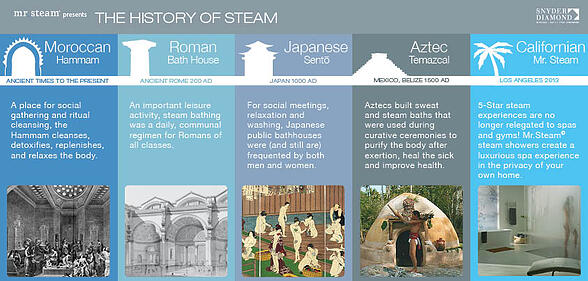 History of Steam Snyder Diamond MrSteam