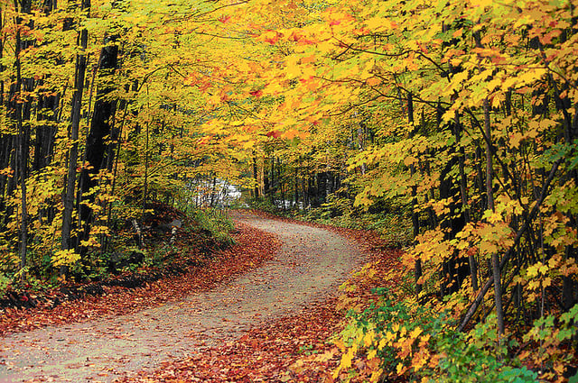 Hapgood Pond Recreation Area of Green Mountain National Forest displays fall foliage splendour. US Dept of Agriculture