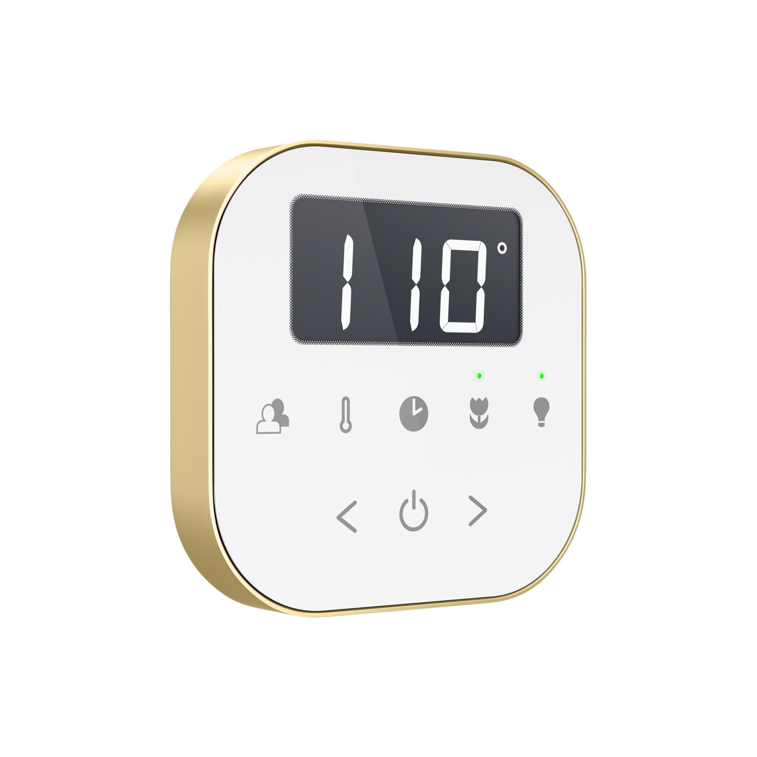 MrSteam AirTempo Control White BB Angled Isolated