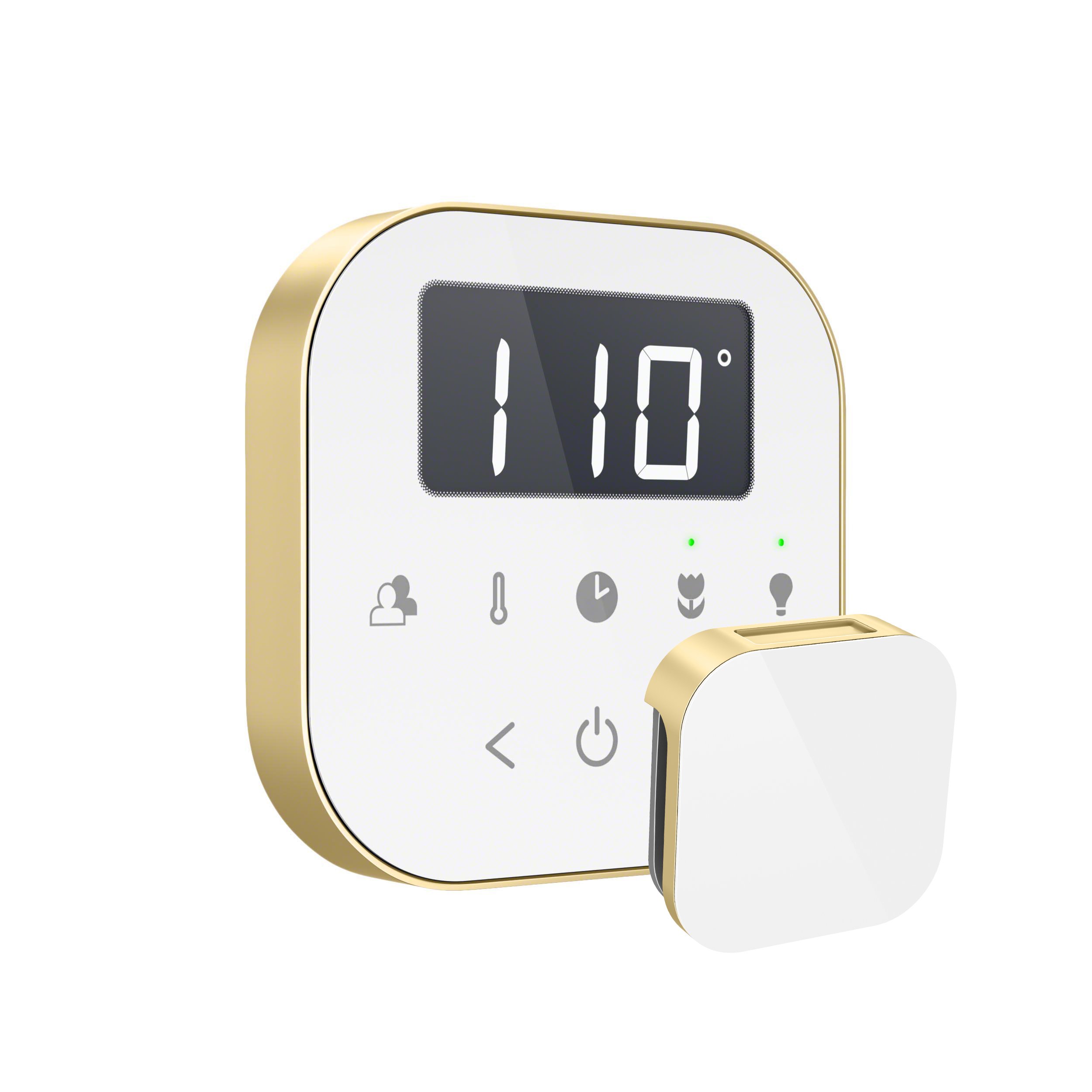 MrSteam AirTempo Control and Aroma Glass SteamHead White BB Angled Isolated