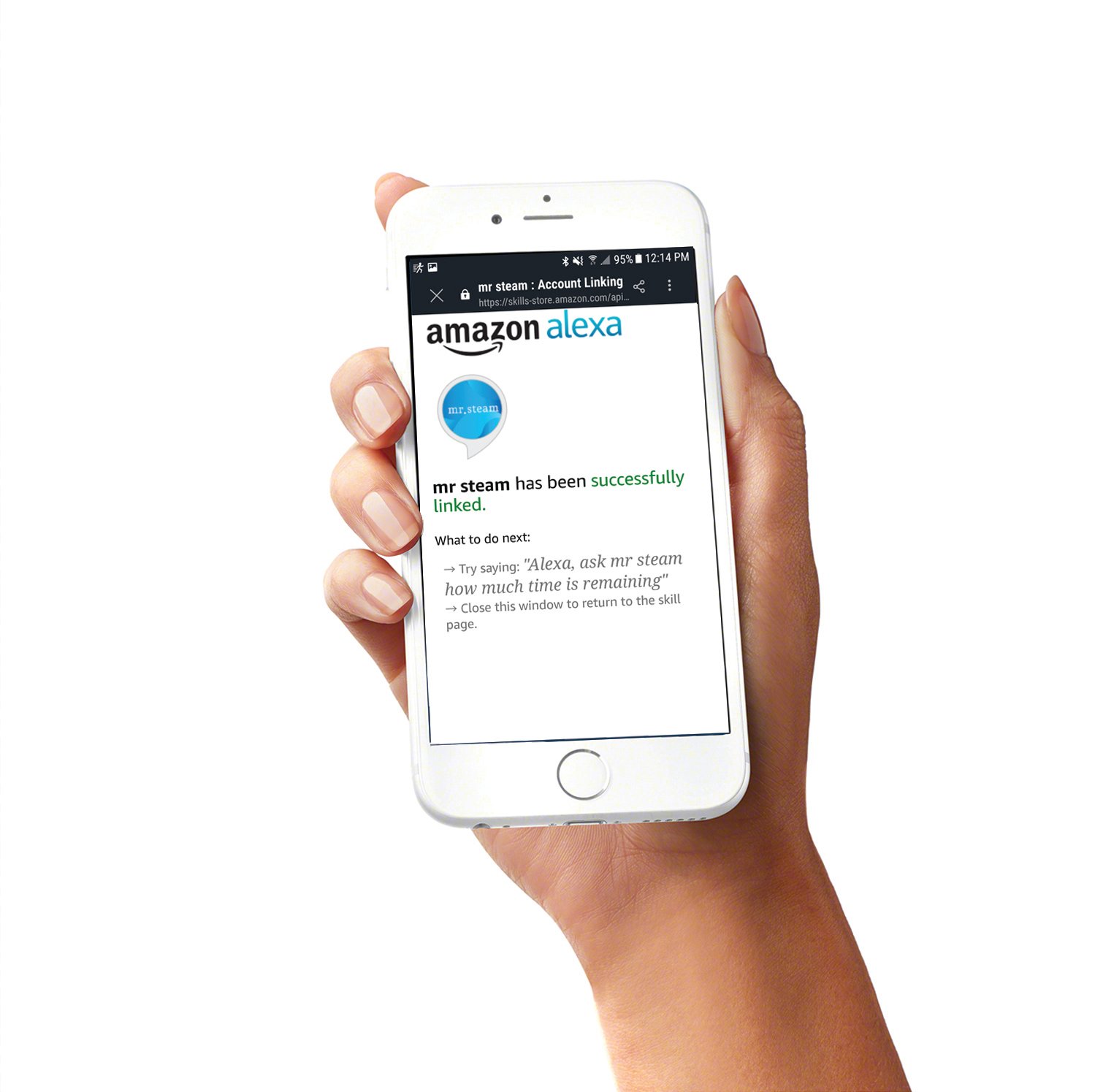 MrSteam Just Ask Alexa When SteamLinx Is Installed Hand Isolated