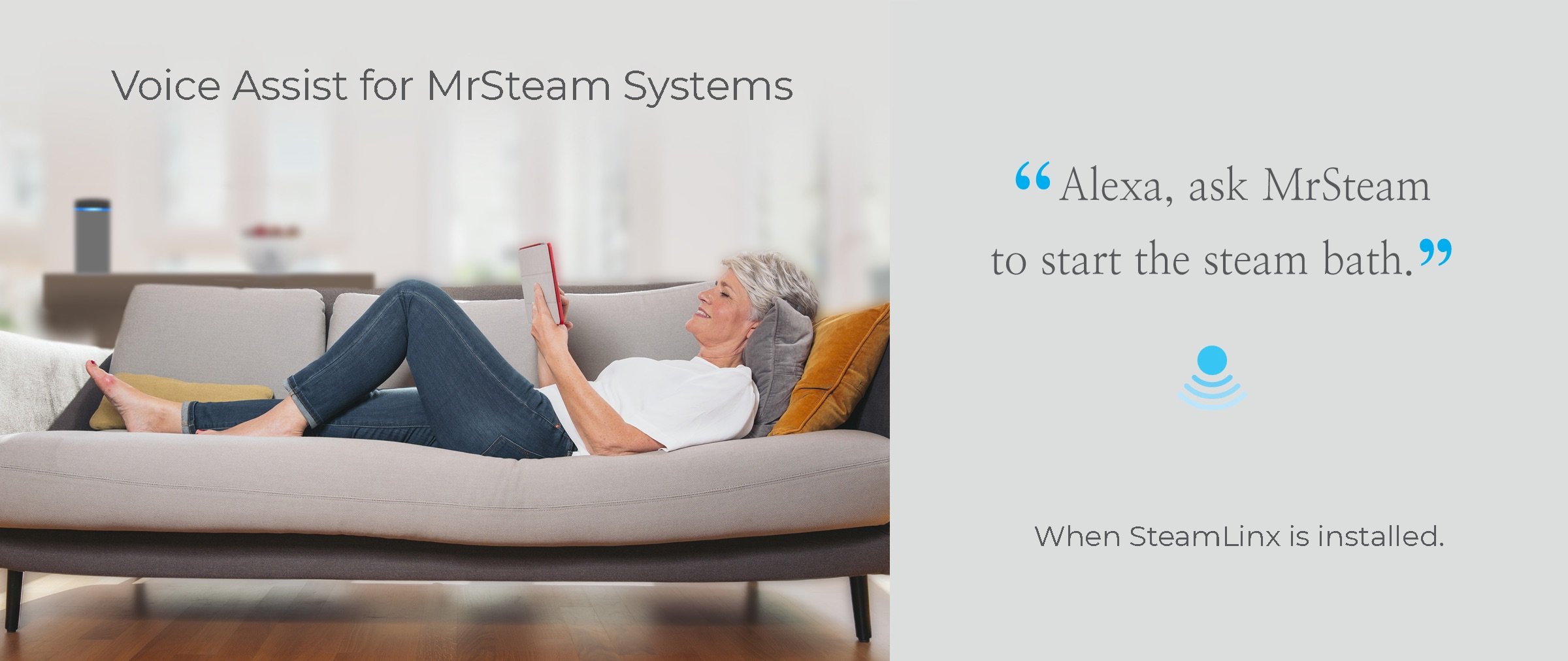 MrSteam Just Ask Alexa When SteamLinx Is Installed Beauty