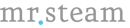 mr-steam-logo-2