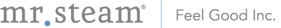 mr-steam-logo-2