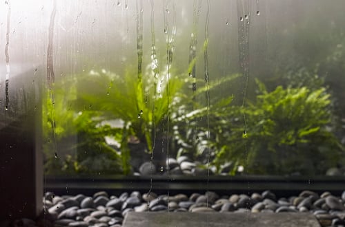 What is a Steam Shower?