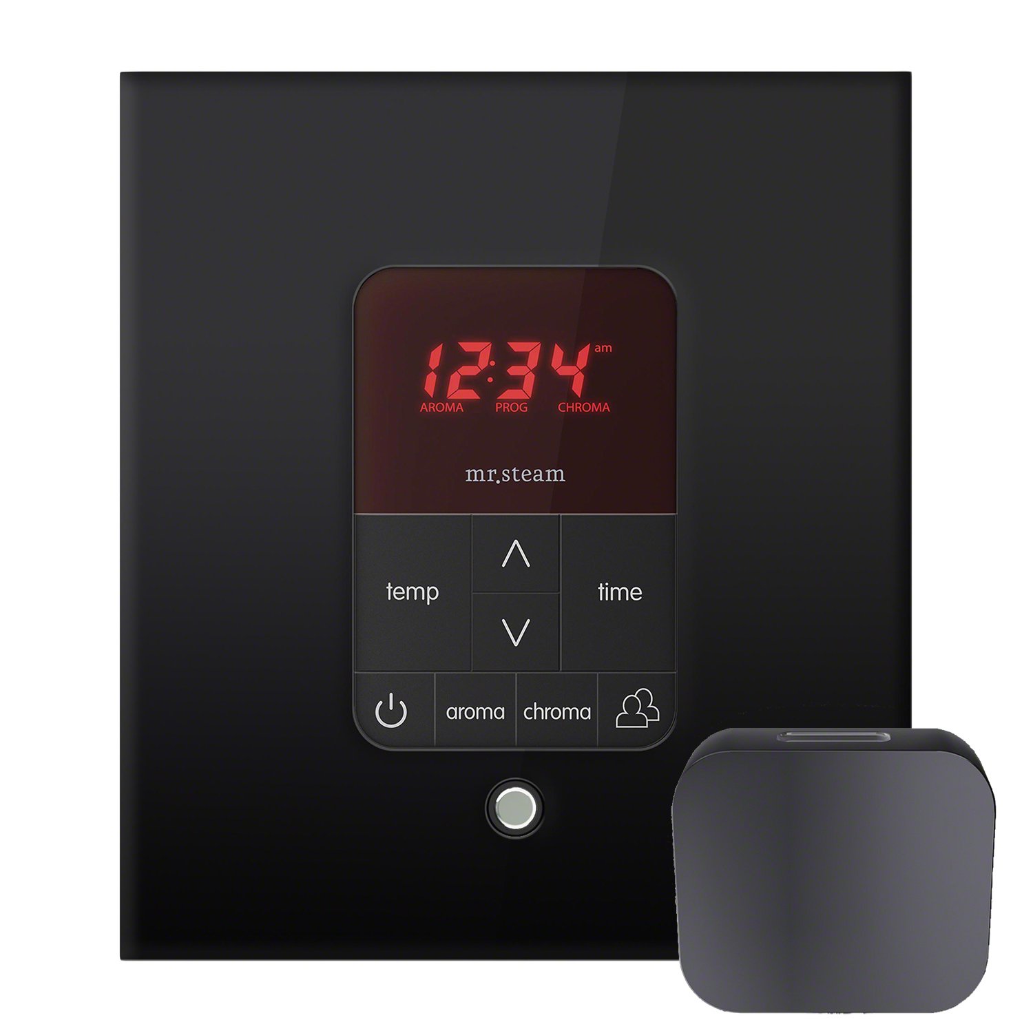 MrSteam iTempoPlus Square Glass with Aroma Glass SteamHead