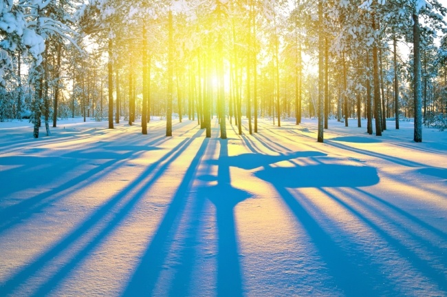 To Combat Seasonal Affective Disorder, catch morning sunshine