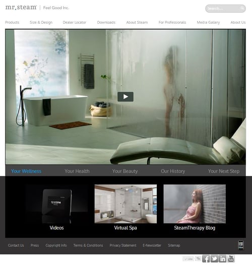 Experiencing Steam and Steam Showers on MrSteam.com