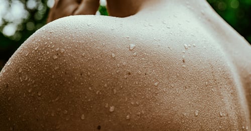Steam vs. Sauna: What's the Difference?