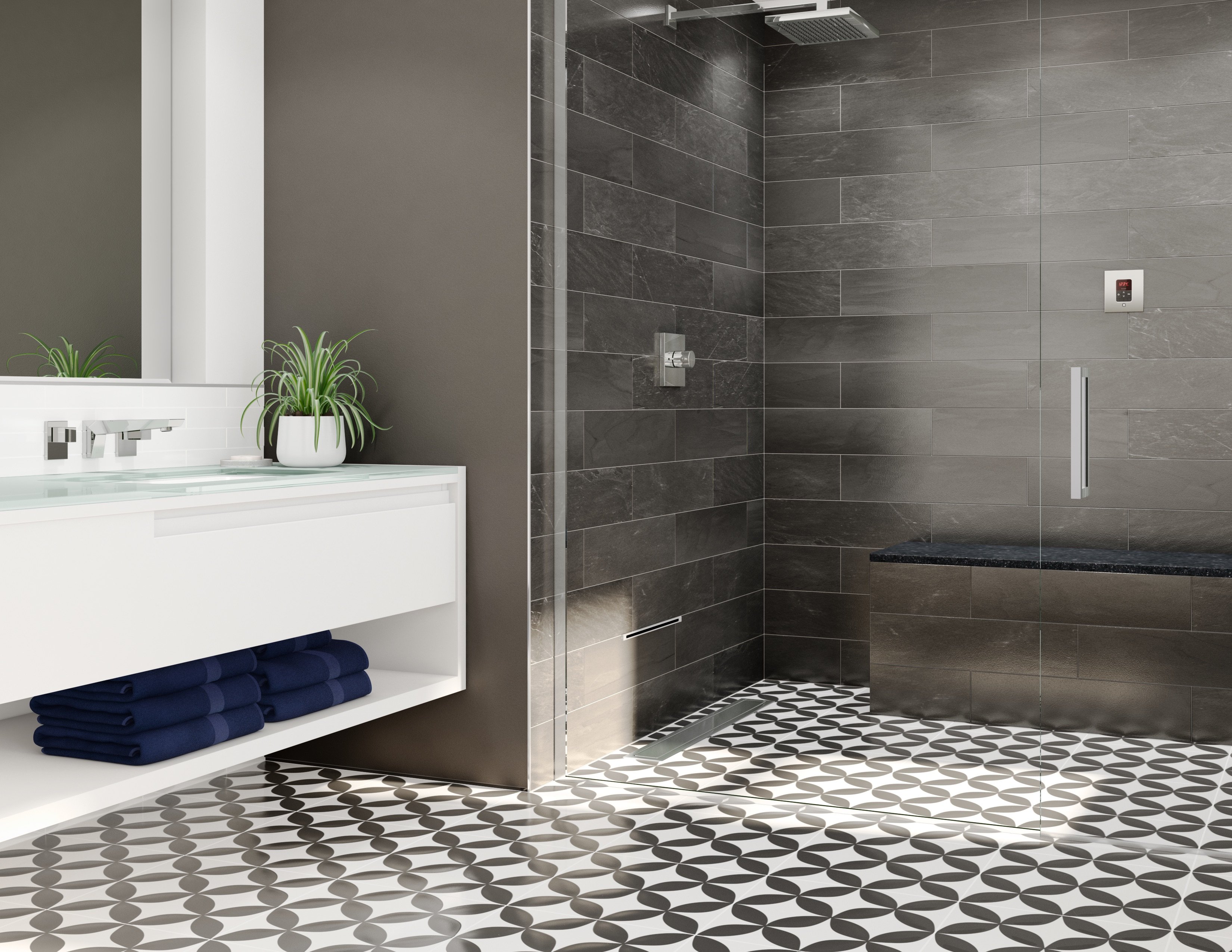 MrSteam No Threshold Steam Shower iTempoPlus Linear