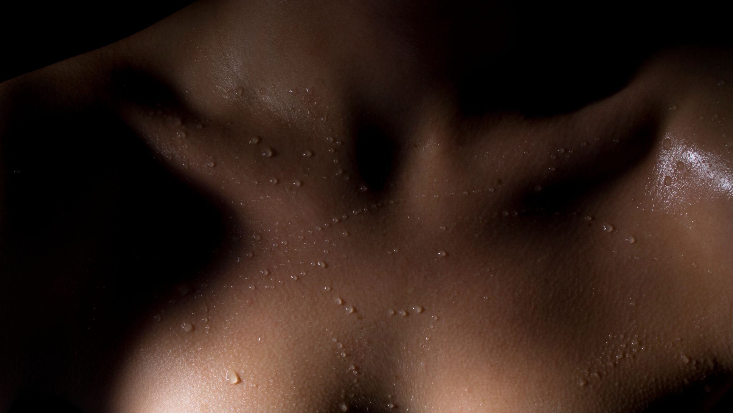 banner-image