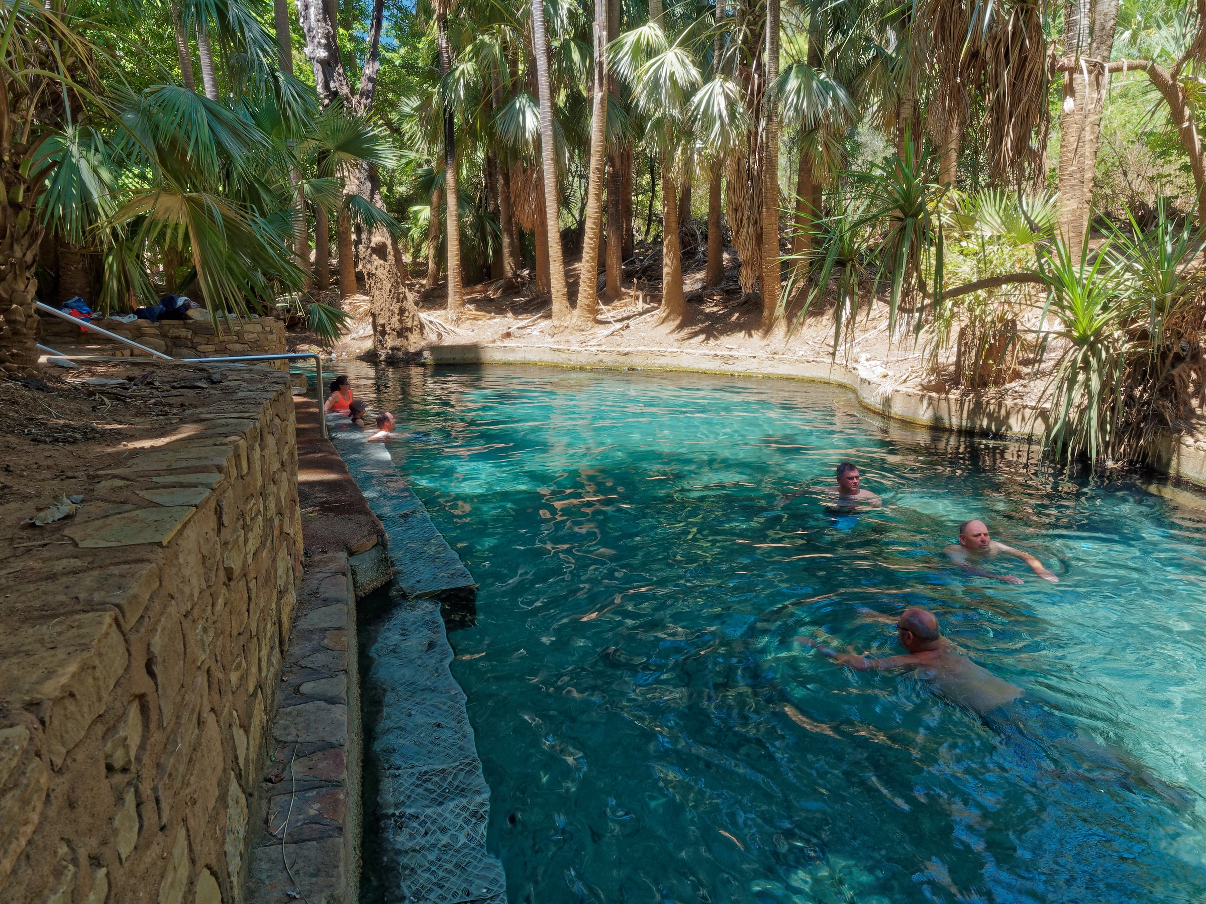 Mataranka Thermal Pools